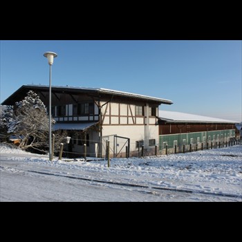 Reitanlage FELDWIESEN im Schnee